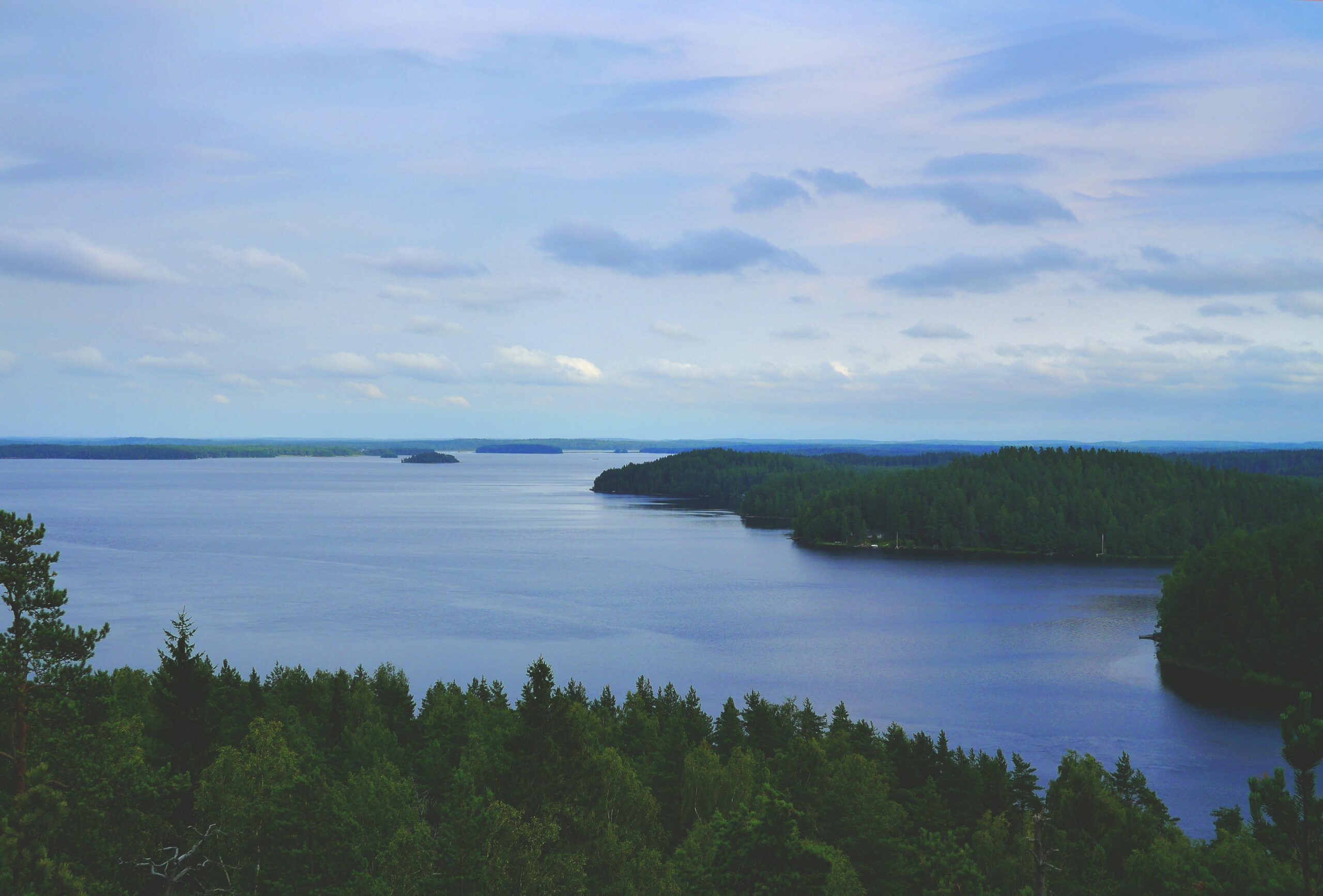 JÄRVI METSÄ SININENpexels-lum3n-44775-227572